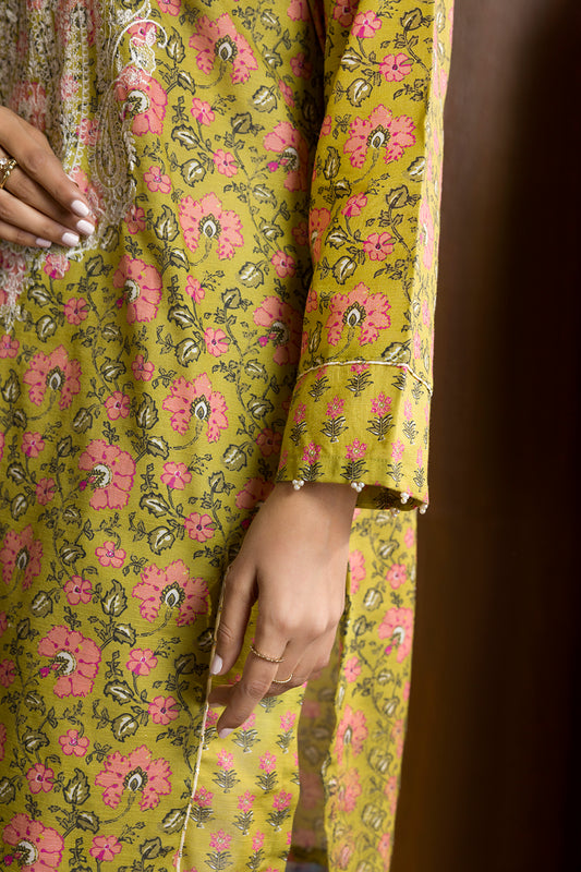 Embroidered Kurta Shawl - 3036