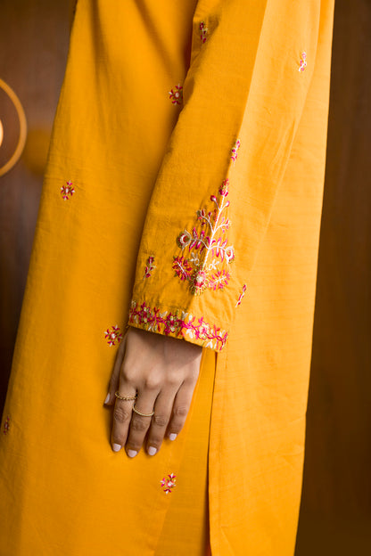 Embroidered Kurta Trouser - 3037