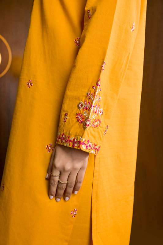 Embroidered Kurta Trouser - 3037