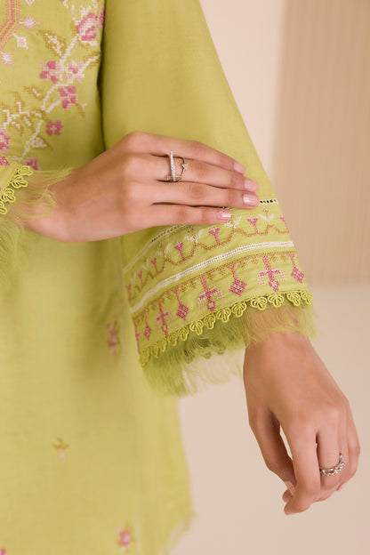 Embroidered Shirt Shalwar - 0014